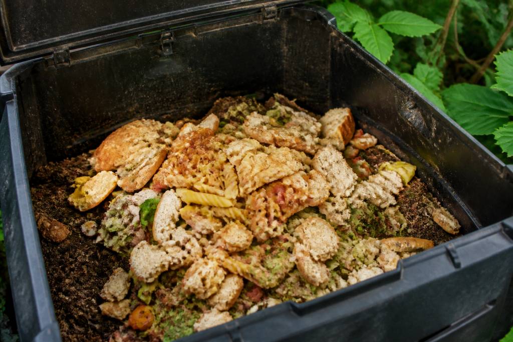 Peut-on composter le pain, les pâtes et les restes de repas ? Guide pratique pour éviter les odeurs et réussir son compost