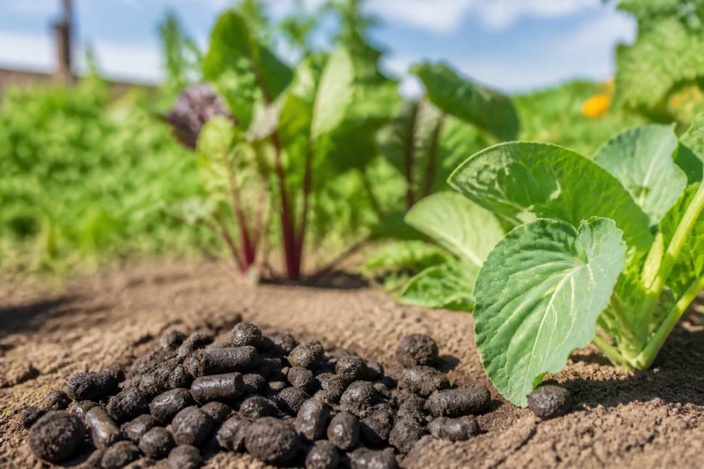Bouse de corne bienfaits : usage, effets sur le sol et fertilisation naturelle au jardin
