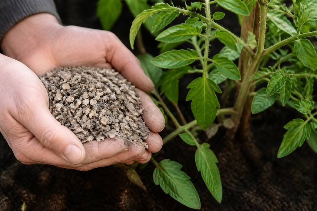 Silice de corne : bienfaits, application au jardin et rôle dans la vitalité des plantes