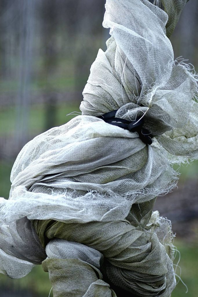 Quand installer un voile d’hivernage au jardin