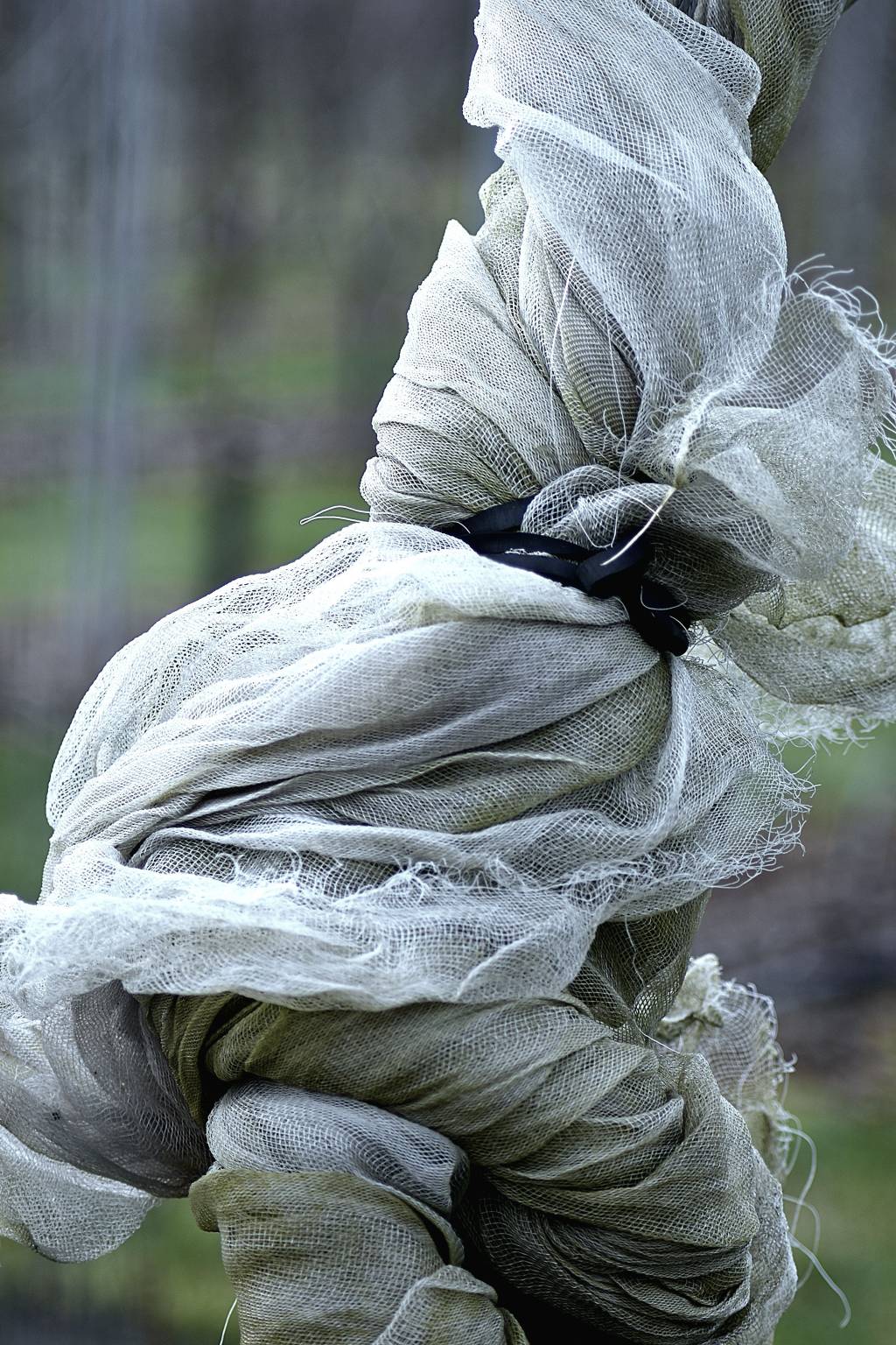Quand installer un voile d’hivernage au jardin